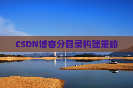 CSDN博客分目录构建策略
